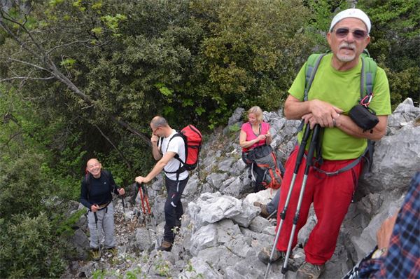 Monte Comer (BS)