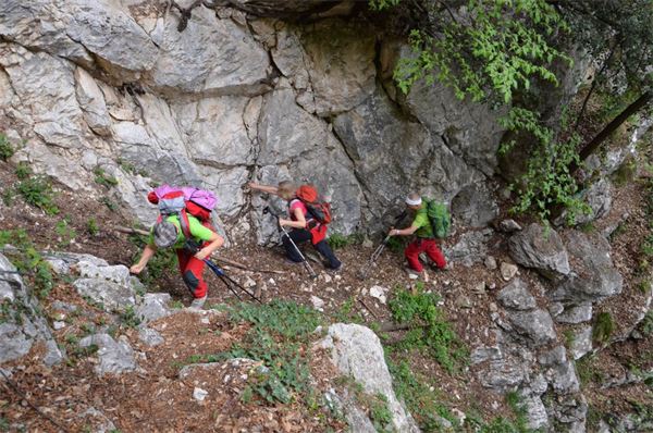 Monte Comer (BS)