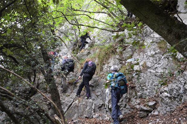 Monte Comer (BS)
