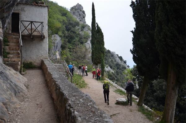 Monte Comer (BS)