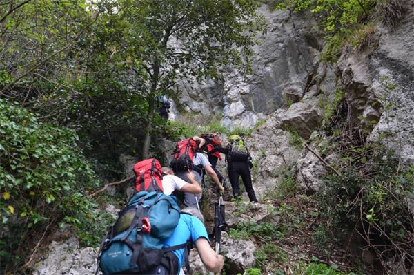 Monte Comer (BS)