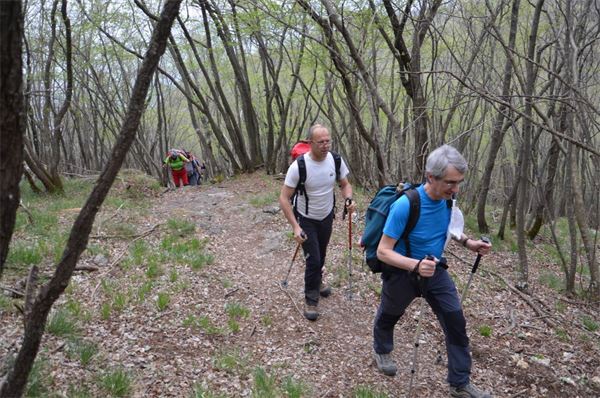 Monte Comer (BS)
