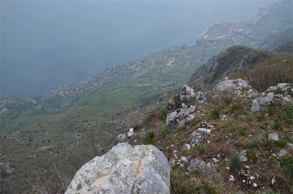 Monte Comer (BS)