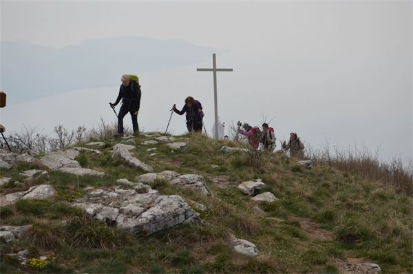 Monte Comer (BS)