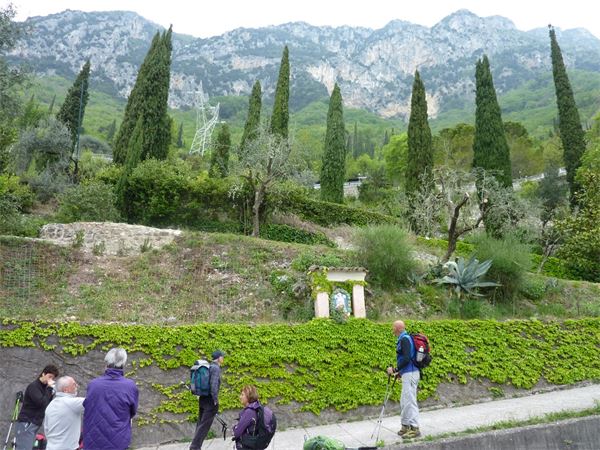 Monte Comer (BS)