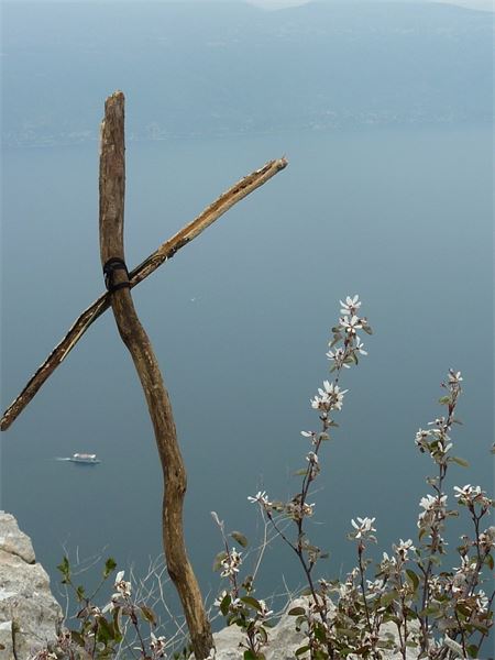 Monte Comer (BS)