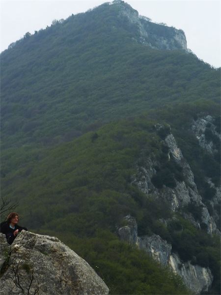 Monte Comer (BS)