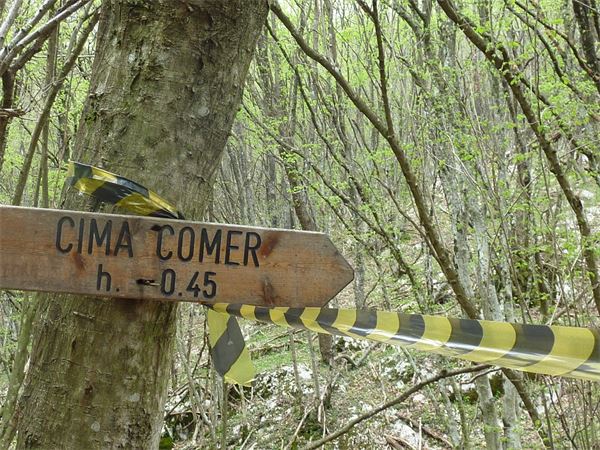 Monte Comer (BS)