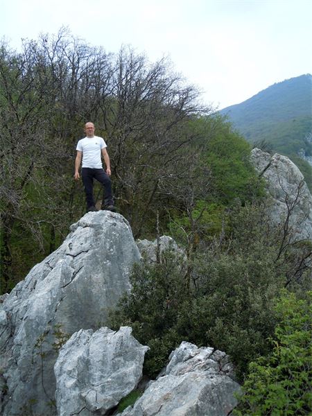 Monte Comer (BS)