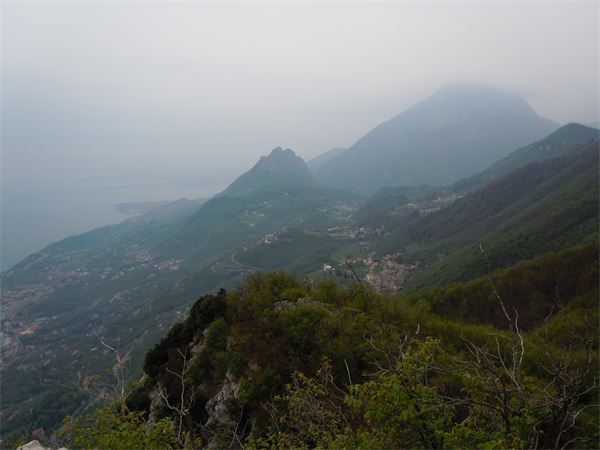 Monte Comer (BS)