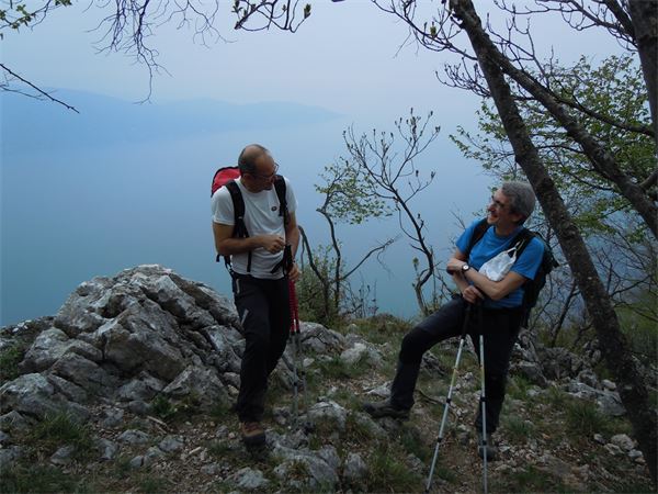 Monte Comer (BS)