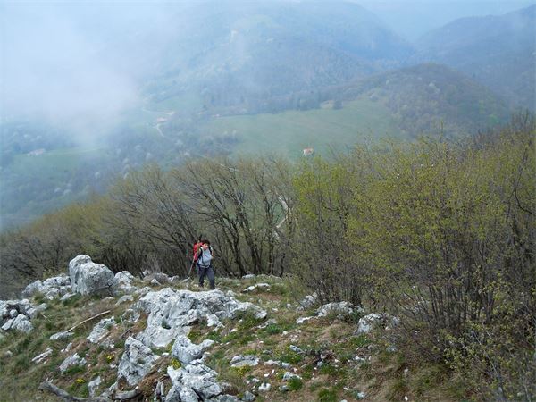 Monte Comer (BS)