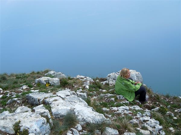 Monte Comer (BS)