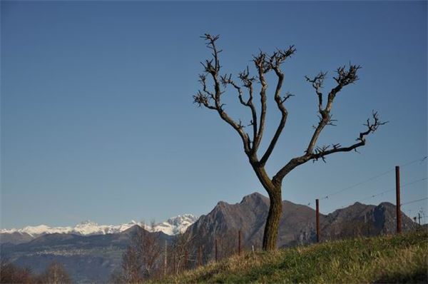 Mont’Isola Lago d’Iseo (BS)