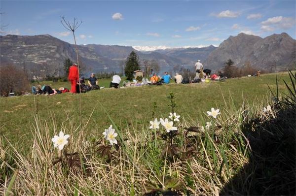 Mont’Isola Lago d’Iseo (BS)