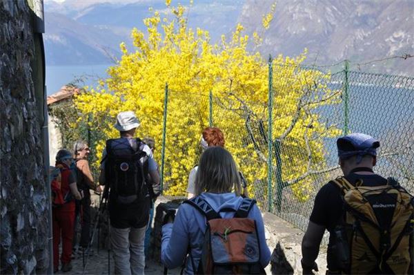 Mont’Isola Lago d’Iseo (BS)