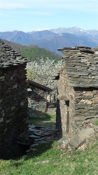 Monte Lema (VA)