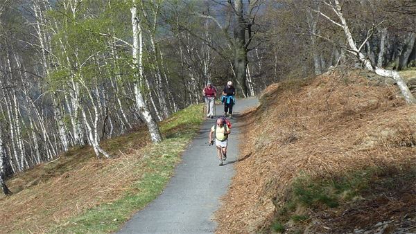 Monte Lema (VA)