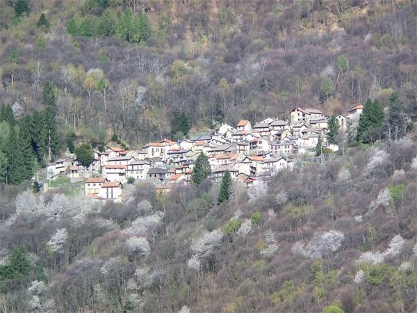 Monte Lema (VA)