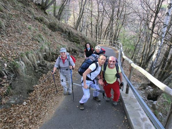 Monte Lema (VA)