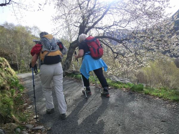 Monte Lema (VA)