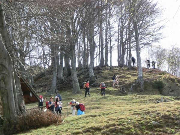 Monte Lema (VA)