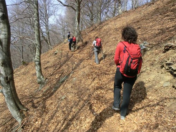 Monte Lema (VA)