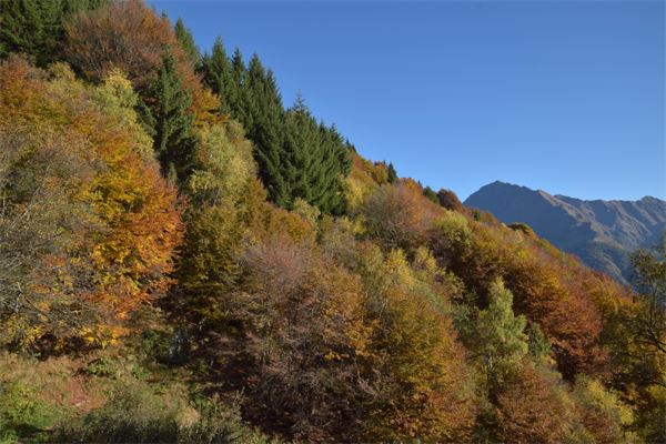 Monte Muggio (LC)