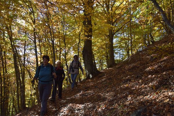 Monte Muggio (LC)