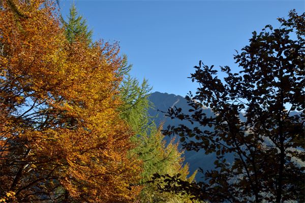Monte Muggio (LC)