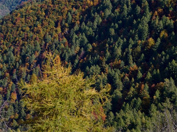 Monte Muggio (LC)