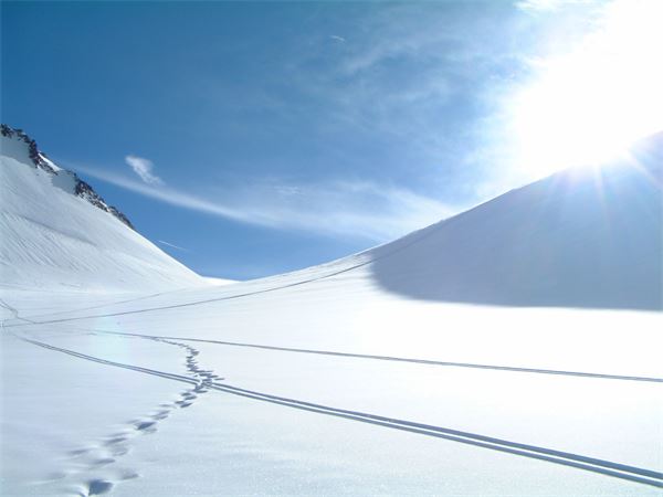 Monte Rosa