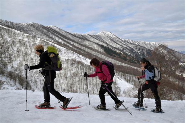 Monte San Primo (CO)