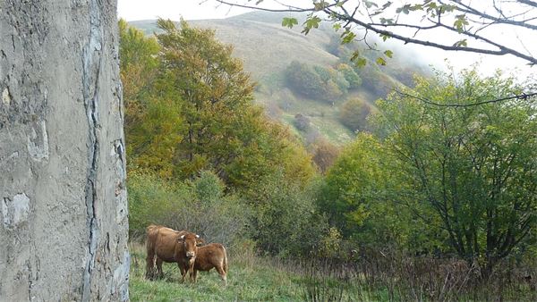 Monte Antola (GE)