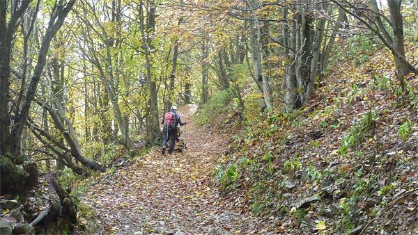 Monte Antola (GE)