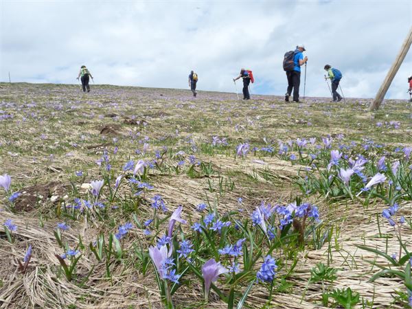 Sui monti dei paesi terremotati di Marche e Umbria