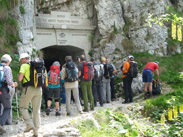 Rif. Papa - Pasubio (VI)