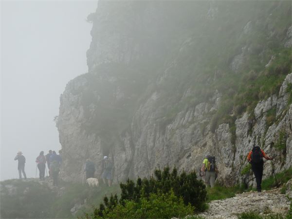 Rif. Papa - Pasubio (VI)