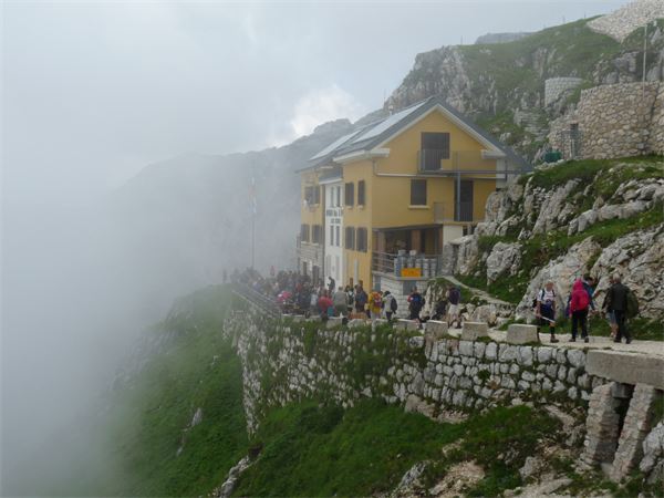 Rif. Papa - Pasubio (VI)