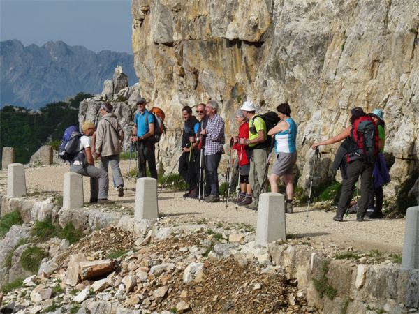 Rif. Papa - Pasubio (VI)