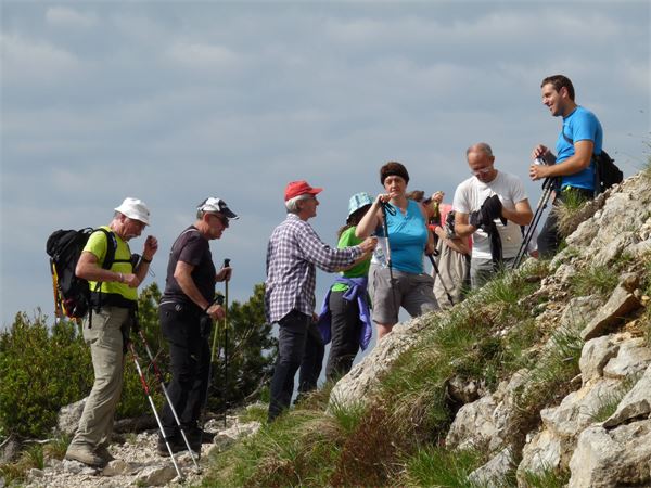 Rif. Papa - Pasubio (VI)