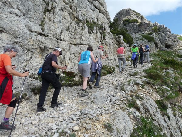 Rif. Papa - Pasubio (VI)