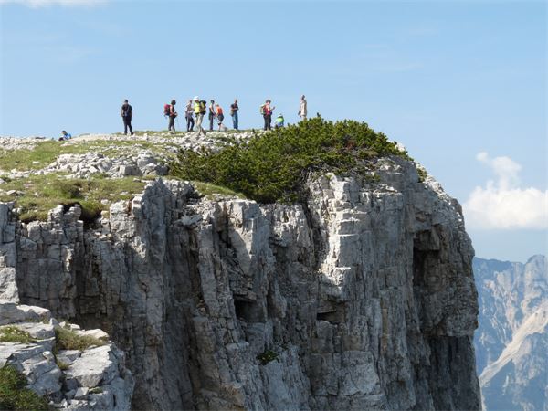 Rif. Papa - Pasubio (VI)
