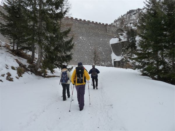 Rif. Calvi (BG)