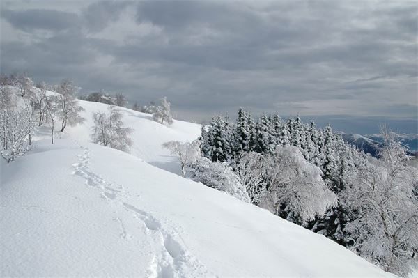 Rif. Palanzone (LC)