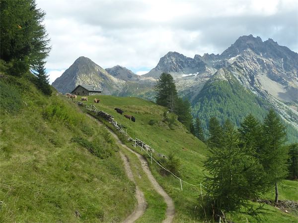 Passo del Muretto (SO)