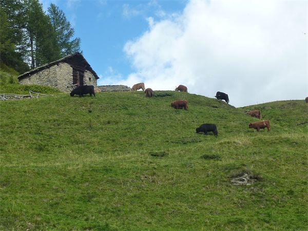 Passo del Muretto (SO)