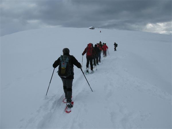 Piani dell’Avaro (BG)