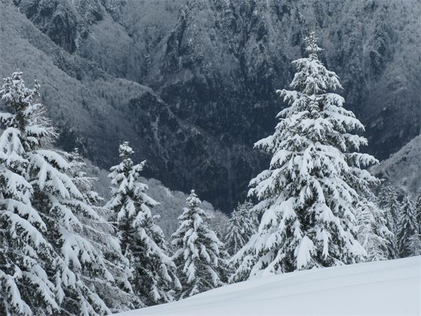 Piani dell’Avaro (BG)