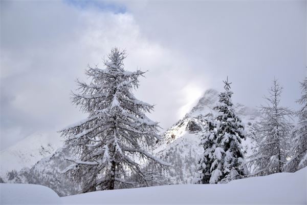 Piani dell’Avaro (BG)